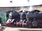 50 3706, 50 3695 und 52 8284 im Ringlokschuppen des BW Sta�furt. September 2005