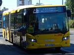 Scania Citywide der BVG in Berlin.