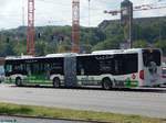 Mercedes Citaro III der Verkehrsgesellschaft Belzig mbH in Potsdam.