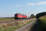 232 589-2 + 233 367-2 mit dem 45369 N�rnberg - Cheb bei Oberteich.