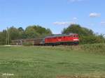 232 502-5 zieht bei Sch�nfeld den FE 49177 nach Wels.