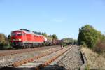 233 217-3 mit dem 45362 von Cheb nach N�rnberg bei Sch�nfeld.