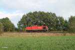 294 599-6 Lz als �bergabe 56960 Marktredwitz - Wiesau bei Sch�nfeld.