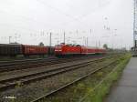 143 809-2 mit RB11 Frankfurt/Oder in Eisenh�ttenstadt.