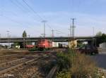 151 034-6 zieht ein Containerzug an Regensburg Ost vorbei.09.09.09