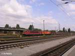 155 014-4 hat 143 001-6 Arvcelor mit ein Kohlezug aus Polen �ber die Oderbr�cke geschleppt bis nach Frankfurt/Oder.