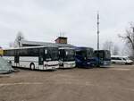 Setra 315 UL und Setra 415 UL von Unger aus Deutschland und Setra 415 UL und Mercedes Tourismo und Mercedes Sprinter von Becker-Strelitz Reisen aus Deutschland in Mirow.