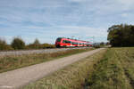 442 753 als S1 39162 Neumarkt/Oberpfalz - Bamberg bei P�lling. 17.10.24