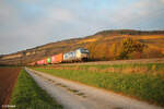 193 539 zieht im herrlichen Herbst-Abendlicht ein Containerzug bei Thüngersheim in Richtung Süden. 27.10.24