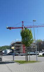 (286'261) - PostAuto-Haltestellen am 21. April 2026 beim Bahnhof Dagmersellen