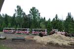 (287'772) - �lgsafari, Markaryd - am 8.