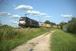 193 855 alias X4E 855 kommt durch die Treuchtlinger Kurve mit einem Containerzug aus dem Hafen Nürnberg wieder zurück.