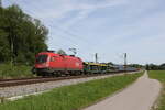 1016 015 mit einem gemischten Gterzug auf dem Weg nach Salzburg.