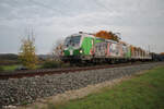 193 219  Stille Nacht  zieht ein leeren Holztransportzug bei Thüngersheim in Richtung Norden. 20.10.24