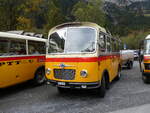 (268'055) - Schmid, Thrishaus - Nr. 9/BE 26'105 - Saurer/R&J (ex Geiger, Adelboden Nr. 9) am 12. Oktober 2024 in Kiental, Tschingelsee