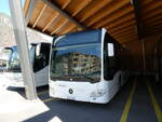 (290'859) - ABl Biasca - Nr.