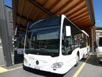 (290'865) - ABl Biasca - Nr. 6/TI 231'006 - Mercedes am 12. September 2026 in Biasca, Garage