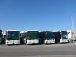 (217'478) - Interbus, Yverdon - Nr. 68 - Mercedes (ex AFA Adelboden Nr. 93; ex AFA Adelboden Nr. 5) am 31. Mai 2020 in Kerzers, Interbus