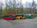 (261'612) - Bernmobil, Bern (SOB) - Nr. 193 - Volvo/Gangloff am 21. April 2024 in Burgdorf, kihof Ziegelgut