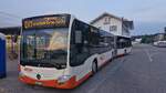 Mercedes-Benz Citaro G C2, SO 189031, in Deitingen Bahnhof, als Ersatzverkehr Solothurn-Luterbach-Deitingen, Busbetriebe Solothurn und Umgebung, Aufgenommen am 29.