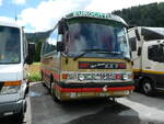 (239'229) - Dasen, Bischofszell - TG 8821 - Setra (ex Reichlin, Goldau) am 20.