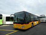 (228'321) - Flck, Brienz - Nr. 5/BE 113'349 - Mercedes am 25. September 2021 in Kerzers, Interbus