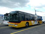 kubli-gstaad/778157/236484---kuebli-gstaad---nr (236'484) - Kbli, Gstaad - Nr. 4/BE 360'355 - Setra am 29. Mai 2022 in Kerzers, Interbus