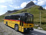 oser-buerchen/862744/266546---oser-buerchen---vs (266'546) - Oser, Brchen - VS 93'575 - NAW/Lauber (ex Epiney, Ayer/PID 1076) am 1. September 2024 am Sanetschpass