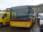 Schmerikon/749900/228160---postauto-ostschweiz---sg (228'160) - PostAuto Ostschweiz - SG 304'011 - Mercedes (ex TG 158'012) am 19. September 2021 in Schmerikon, Thomann