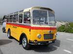 (265'137) - Schmid, Th�rishaus - Nr. 9/BE 26'105 - Saurer/R&J (ex Geiger, Adelboden Nr. 9) am 28. Juli 2024 in Grimsel, Passh�he