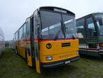 Saurer/867890/268708---aus-der-schweiz-schmid (268'708) - Aus der Schweiz: Schmid, Th�rishaus - BE 26'206 - Saurer/T�scher (ex P 24'244) am 26. Oktober 2024 in Kintzheim, Cigoland