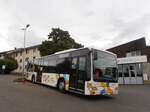 (290'651) - Steffen, Remetschwil - Nr.