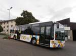 (290'652) - Steffen, Remetschwil - Nr.