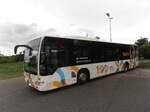 (290'653) - Steffen, Remetschwil - Nr.