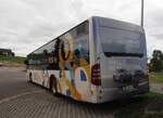 (290'654) - Steffen, Remetschwil - Nr.