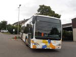 (290'659) - Steffen, Remetschwil - Nr.