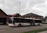 (290'680) - Steffen, Remetschwil - Nr.