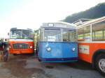 (135'583) - TL Lausanne (Rtrobus) - Nr. 66 - FBW/SWS Trolleybus (ex Nr. 610; ex Nr. 66; ex VBZ Zrich Nr. 179) am 20. August 2011 in Moudon, Rtrobus