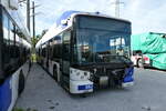 (280'030) - TL Lausanne - Nr. 882 - Hess/Hess Gelenktrolleybus am 6. September 2025 in Kerzers, Interbus
