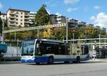 (242'902) - TPL Lugano - Nr. 324/TI 331'324 - Mercedes am 17. November 2022 beim Bahnhof Lugano