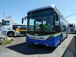 (252'510) - TPL Lugano - Nr. 204/TI 338'931 - Scania/Hess am 8. Juli 2023 in Kerzers, Interbus