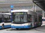 (269'019) - VBL Luzern - Nr. 225 - Hess/Hess Gelenktrolleybus am 9. November 2024 beim Bahnhof Luzern