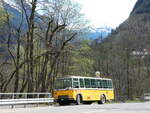 FBW/811290/248732---wittwer-chur---gr (248'732) - Wittwer, Chur - GR 16'004 - FBW/Gangloff (ex Eggenberger, M�riken; ex AVG Grindelwald Nr. 11; ex P 24'170) am 16. April 2023 in Soazza, Grotto Verbi
