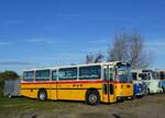 Saurer/867304/268439---aus-der-schweiz-schmid (268'439) - Aus der Schweiz: Schmid, Th�rishaus - BE 26'206 - Saurer/T�scher (ex P 24'244) am 25. Oktober 2024 in Kintzheim, Cigoland