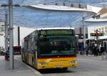 Aarau/865418/267672---postauto-nordschweiz---ag (267'672) - PostAuto Nordschweiz - AG 479'338/PID 4528 - Mercedes (ex SO 149'615) am 3. Oktober 2024 beim Bahnhof Aarau