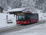 (258'258) - AFA Adelboden - Nr. 90/BE 398'916 - Mercedes am 6. Januar 2024 in Adelboden, Unter dem Birg