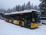 (271'090) - Steiner, Messen - SO 20'143/PID 5372 - Scania/Hess (ex SO 136'226) am 11. Januar 2025 in Adelboden, Unter dem Birg