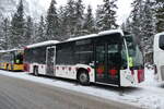 (283'949) - Wieland, Murten - Nr. 117/FR 300'586 - Mercedes am 10. Januar 2026 in Adelboden, Unter dem Birg