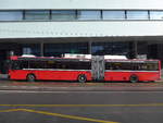Bern/589368/186561---bernmobil-bern---nr (186'561) - Bernmobil, Bern - Nr. 1 - NAW/Hess Gelenktrolleybus am 19. November 2017 in Bern, Schanzenstrasse