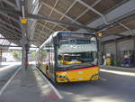 Bern/700496/217098---postauto-bern---be (217'098) - PostAuto Bern - BE 553'244 - Solaris am 21. Mai 2020 in Bern, Postautostation